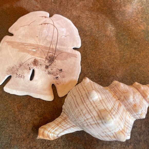 5 Different Sea Shells 1 Sand Dollar w/ Original Painting Signed by Dean Unique - Picture 4 of 13